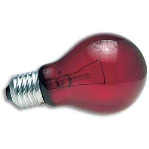    Top Quality 15 Watt Nightlight Red Inc Reptile Bulb: Pet Supplies