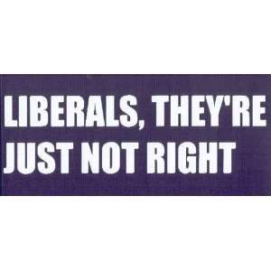  LIBERALS, THEYRE JUST NOT RIGHT This is a vinyl window 