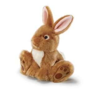  Small Brody Brown Bunny   8 Toys & Games
