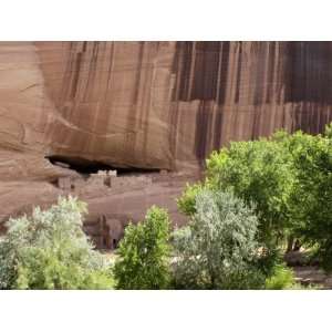 White House, Ruins of an Anasazi Ancestral Puebloan Cliff Dwelling 