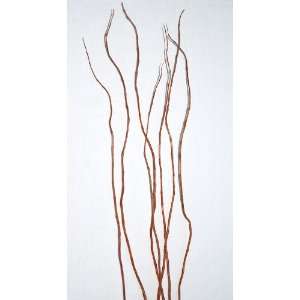  Curly Willow Branches for Centerpieces (Short Stem): Home 