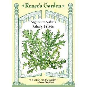  Greens   Frisee  Glory Seeds: Patio, Lawn & Garden