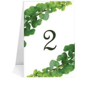   Table Number Cards   Green With Envy #1 Thru #29: Office Products