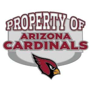  NFL Arizona Cardinals Pin   Property