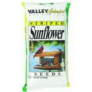  Red River Commodities 23002 D Stripe Sunflower: Pet 
