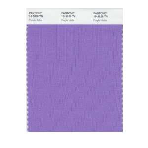  Pantone 16 3828 Nylon Brights Color Swatch Card: Home 