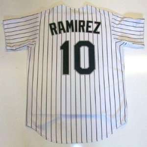  Alexei Ramirez Chicago White Sox Jersey   Medium: Sports 