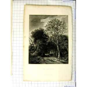  ANTIQUE ENGRAVING THE GLADE COTTAGE TREES COUNTRYSIDE 