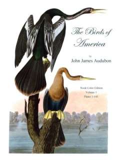   America Volume 1 by John Audubon, BAM  NOOK Book (eBook), Paperback