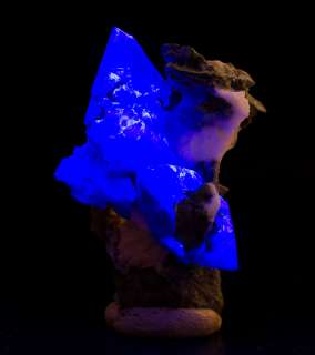 Vivid Sapphire Blue BENITOITE 11 Sharp Crystals to .5on Matrix 