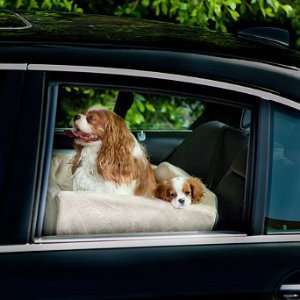  Companion Pet Car Seat   Charcoal, Oversized: 21L x 20W 