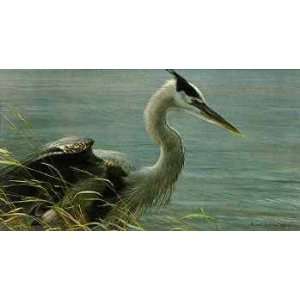  Robert Bateman   Lunging Heron