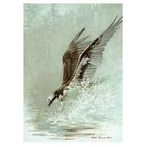  Robert Bateman   Lunging Osprey