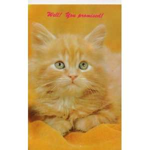 Post Card: Well! You Promised! Published by J.M.C. Photo Service, Anna 