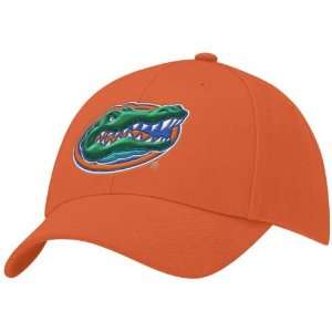  Nike Florida Gators Orange Swoosh Flex Fit Hat: Sports 