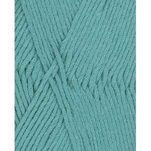  Berroco Comfort Yarn 9733 Turquoise: Arts, Crafts & Sewing