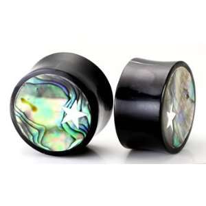  Horn Plug with Abalone Inlay and Small Star Organic Plug 