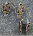 HAND PAINTED CERAMIC BALD EAGLE REFRIGERATOR MAGNETS