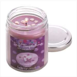  Boysen Berry Scented Candle: Home & Kitchen