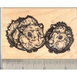  Lily & Daisy Abyssinian Guinea Pig Rubber Stamp Arts 