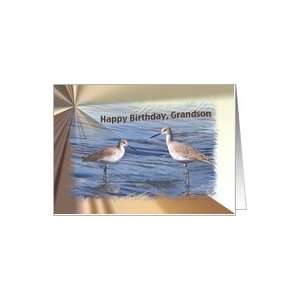  Birthday, Grandson, Willet Birds Card Toys & Games