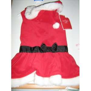  Mrs. Claus Santa Claus Pet Suit Coat Size Large: Kitchen 