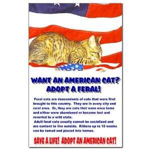  American Cats Pets Mini Poster Print by  Patio 