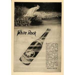  1904 Ad White Rock Mineral Spring Co Water Drink Psyche 