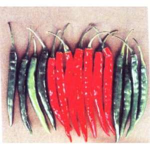  Agni hot pepper seed packet: Home & Kitchen