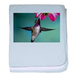  Baby Blanket Sky Blue Male Calliope Hummingbird 