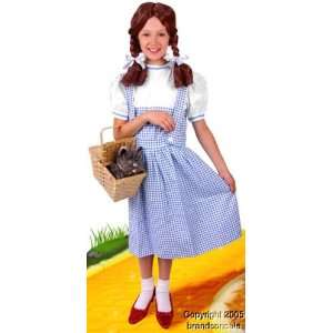  Childs Dorothy Costume (SizeLarge 10 12) Toys & Games