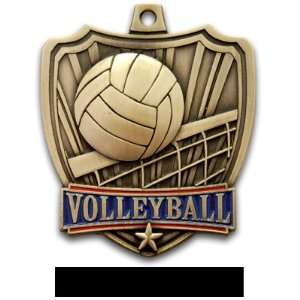 Hasty Awards 2.5 Shield Custom Volleyball Medals GOLD MEDAL/BLACK 