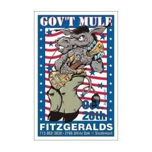  GOVT MULE   Limited Edition Concert Poster   by Brutefish 