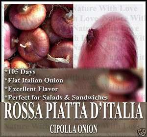 Onion seeds   ROSSA PIATTA DITALIA ~FLAT ITALIAN ONION  