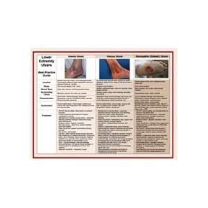  Lower Extremity Ulcers Quick Reference Guides: Everything 