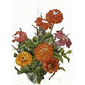     Charles Demuth   32 x 44 inches   Zinnias