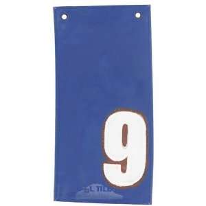   house numbers   #9 in frenchy blue & marshmallow: Home Improvement