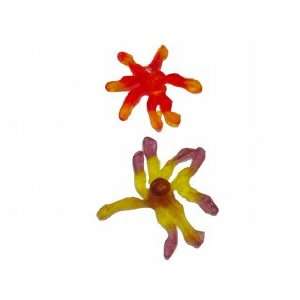Gummi Octopus, 4 lbs:  Grocery & Gourmet Food