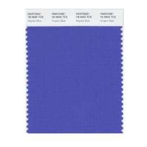   SMART 18 3945X Color Swatch Card, Amparo Blue: Home Improvement