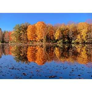  Dazzling Autumn Reflections Wall Mural