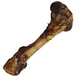  Ferrera Farms Beef Femur (Monster Bone)