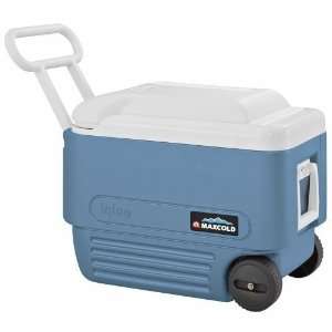   Academy Sports Igloo MaxCold 40 qt. Roller Cooler: Sports & Outdoors