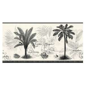   Black And White Palm Tree Wallpaper Border LW1341290: Kitchen & Dining