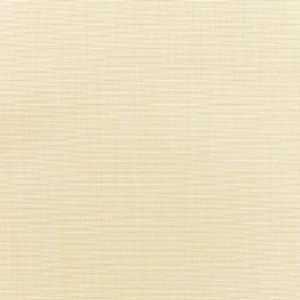   Canvas Vellum 5498 Indoor / Outdoor Upholstery Fabric: Everything Else