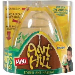  5 Pack INSECT LORE MINI ANT HILL 