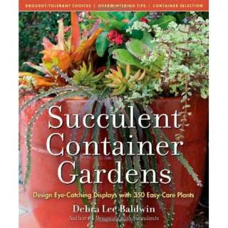  Succulent Container Gardens: Design Eye Catching Displays 
