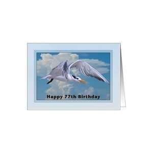  Happy Birthday, 77th, Royal Tern Bird Card Toys & Games