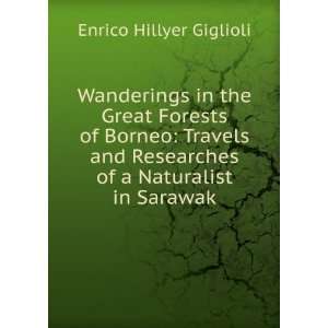   Researches of a Naturalist in Sarawak: Enrico Hillyer Giglioli: Books
