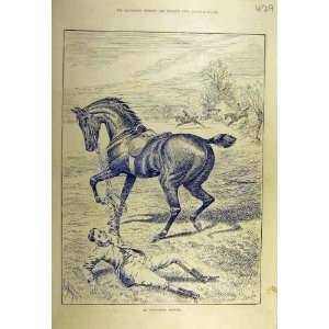  1887 Undignified Hunter Rider Fall Horse Hunting Print 