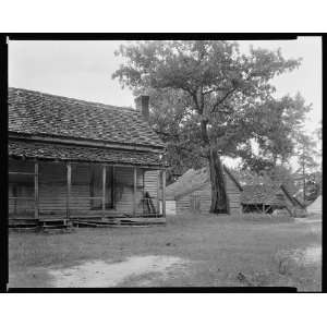  , Hill Plantation?, Washington vic., Wilkes County, Georgia 1939